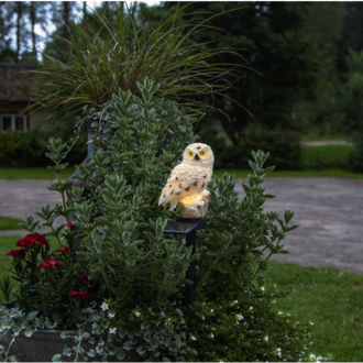 Solar Decoration Owl