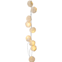 728-75_FL_002.png