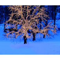 465-06_MB_001.png