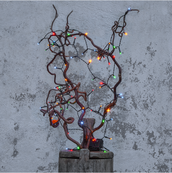 Light Chain Akku