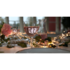 457-50_MB_011.png