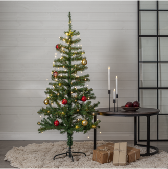 Christmas Tree Dalbo