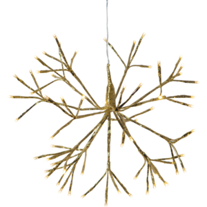 Outdoor Decoration Firework