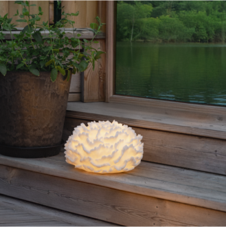 Outdoor Decoration Sandy Coral