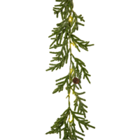 612-64_FL_002.png