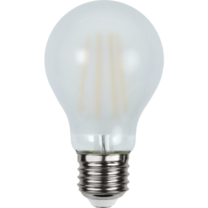 LED Lamp E27 A60 Frosted