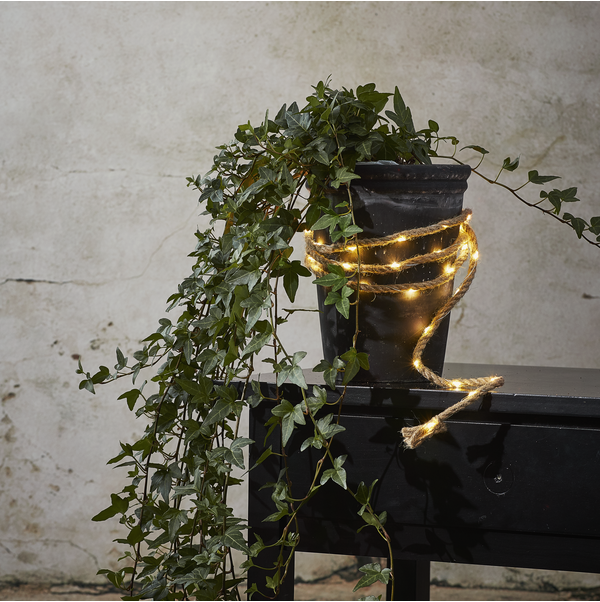 Light Chain Jutta