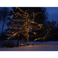 491-00,491-01,492-00,492-01_MB_002.png