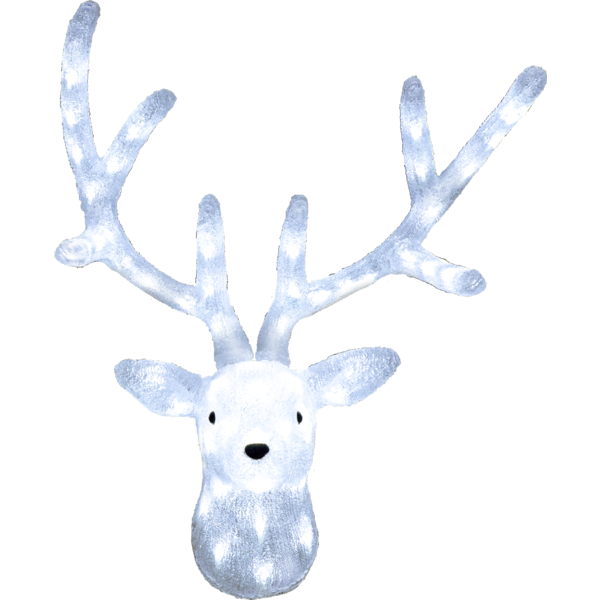 583-63_MN.png