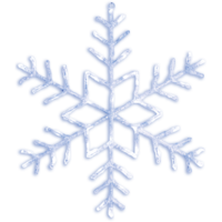 583-95_FL_001.png