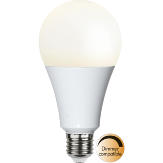 LED-lamp E27 A80 High Lumen