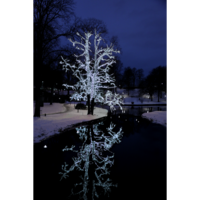 465-06_MB_003.png