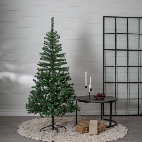 Christmas Tree Dalbo