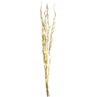 584-06_FL_001.png