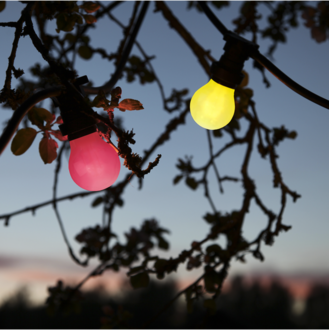 LED Lamp B22 A55 Outdoor Lighting