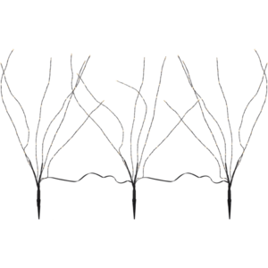 Decorative Twig Reedy