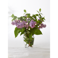 728-33_MB_003.png