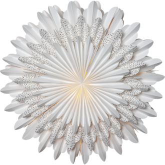 Paper Star Snow
