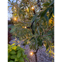 465-06_MB_005.png