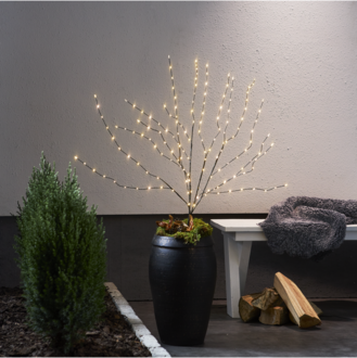 Decorative Twig Reedy