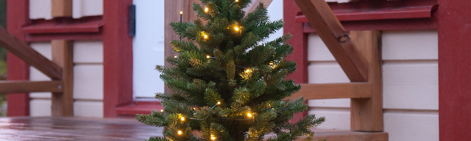 Christmas Trees with Lights