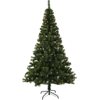 Christmas Tree w LED Ottawa