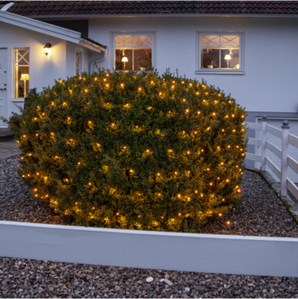 Net Light Golden Warm White