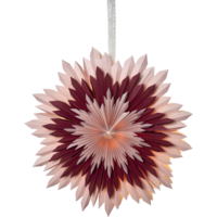 501-83_FL_001.png