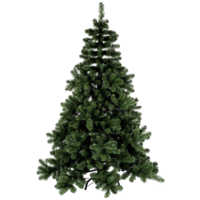 608-80_FL_002.png
