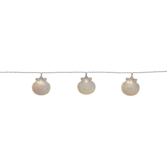 Light Chain Nacy