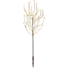 860-26_MN.png