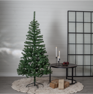 Christmas Tree Dalbo