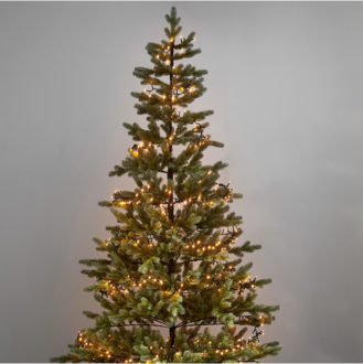 Christmas Tree Lunda