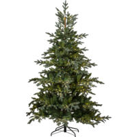 608-55-2_FL_001.png