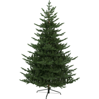 Christmas Tree Brekstad