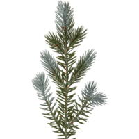 606-03,606-04,606-18_FL_001.png