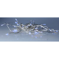 499-19_PB_001.png