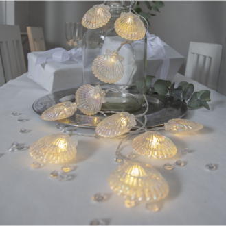 Light Chain Nacy