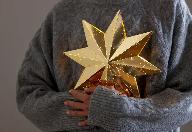Star Trading CHRISTMAS TREES & LIGHTING | Star Trading
