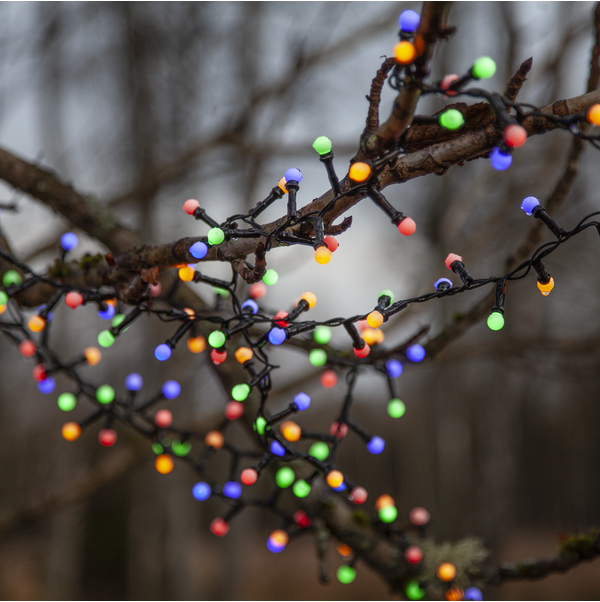 Light Chain Berry Mini