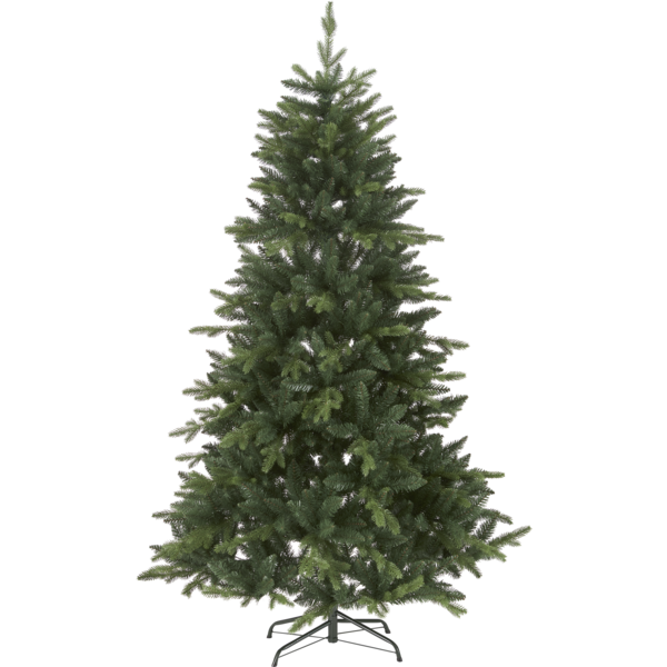 Christmas Tree Bergen