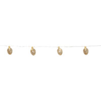 729-60_FL_001.png