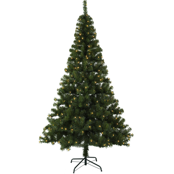 Christmas Tree w LED Ottawa Christmas decorative lighting for indoors outdoors