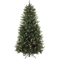 608-30_FL_001.png