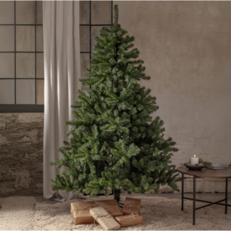 Christmas Tree New Quebec