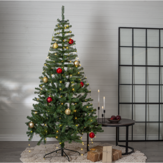 Christmas Tree Dalbo