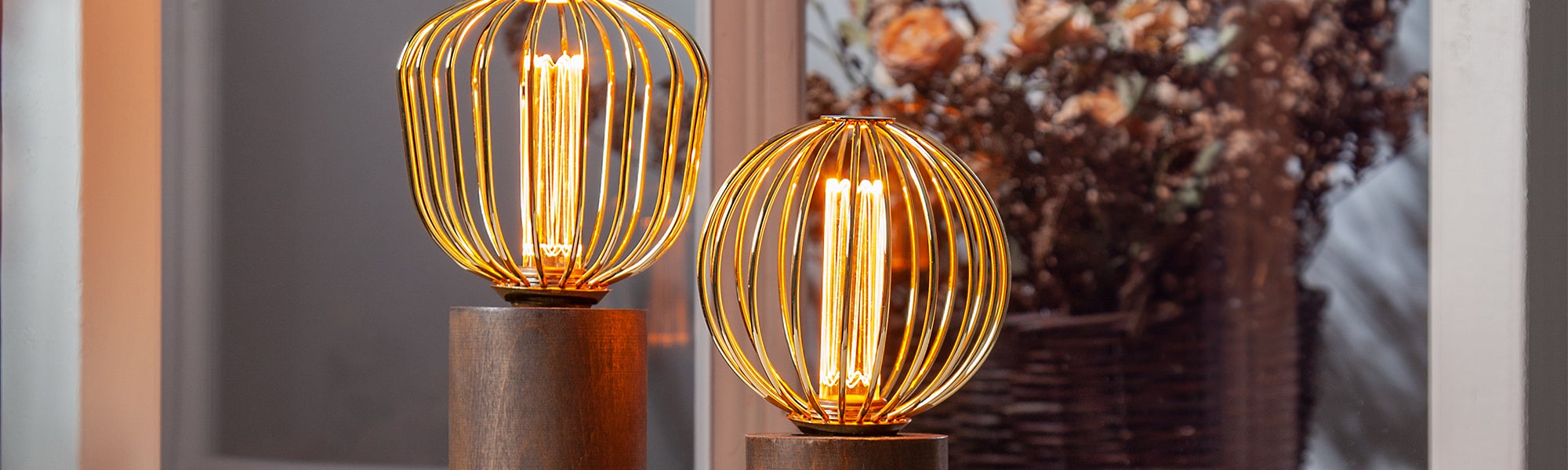 Decorative Bulbs