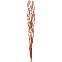 584-05_FL_001.png