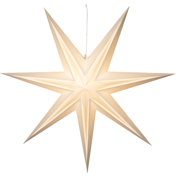 Star Holly