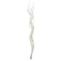 580-48_FL_001.png
